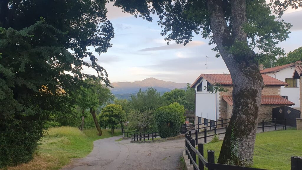 WhatsApp Image 2026-02-05 at 11.24.21 AM